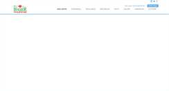 Desktop Screenshot of baseranadolusaglikmesleklisesi.com